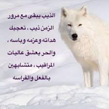 فيلم مثير العربية, فيلم عربي, فيلم العربي 2013, فيلم العربي 2014, أحدث فيلم عربي, جديد السينما العربية, الكلاسيكية فيلم. ØµÙˆØ± Ø°Ø¦Ø§Ø¨ Ø¬Ù…ÙŠÙ„Ù‡ Ø®Ù„ÙÙŠØ§Øª Ù„Ø¹Ø´Ø§Ù‚ Ø§Ù„Ø°Ø¦Ø§Ø¨ Hd ØµÙˆØ± Ø¬Ù…ÙŠÙ„Ù‡ Ø¹Ù† Ø§Ù„Ø°Ø¦Ø¨ Ø§Ù„Ø¥Ø¨Ø¯Ø§Ø¹ Ø§Ù„ÙØ¶Ø§Ø¦ÙŠ