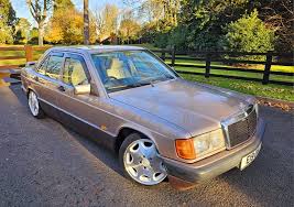 Image result for Canyon Brown 1993 Mercedes