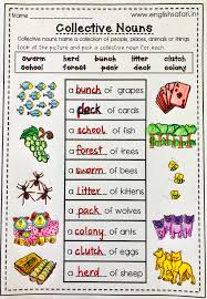 english safari collective nouns worksheet for second facebook