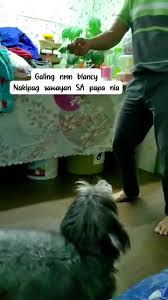 #highlightseveryonefollowers