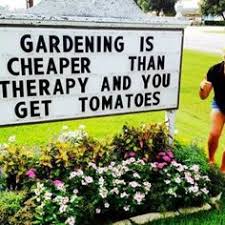 🌱 a small project by ben moren: 10 Gardening Memes Ideas Gardening Memes Memes Garden Quotes