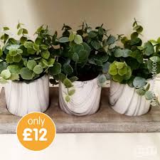 4.5 x 5 x 5 opening: B M Stores These Pretty Plant Pots Are Perfect For Facebook