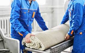As your local pest control experts in ajman. Professional Carpet Cleaning In Dubai Neat Net Plutonic More Mybayut