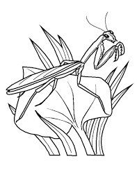 Maybe you would like to learn more about one of these? Insects Coloring Pages 100 Pictures Free Printable
