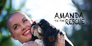 Amanda To The Rescue (2018)