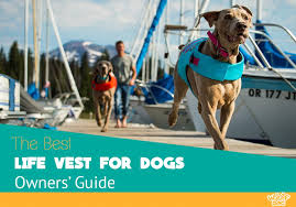 5 Best Dog Life Vests And Jackets 2019 Awards And Reviews