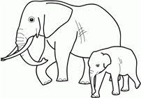 Sketsa gambar gajah gambar gratis di pixabay. 46 Ide Sketch Gajah Gajah Hewan Sketsa Hewan