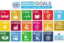 The rio+20 conference (the united nations conference on sustainable development) in rio de janeiro, june 2012, galvanized a process to develop a new set of sustainable development goals (sdgs) which will carry on the momentum. The United Nations Sustainable Development Goals Explained