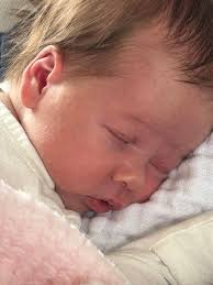 Floral Design 3 class @ BCCC is coming along … so many design techniques  sometimes rolled into one arrangement Loving the pink Ginger🌸