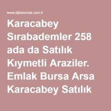 karacabey sirabademler 258 ada da satilik kiymetli araziler emlak bursa arsa karacabey satilik bursa ari