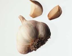 How do i store garlic from my garden. How To Store Garlic Howstuffworks
