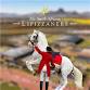 South African Lipizzaners Classical Performance event image