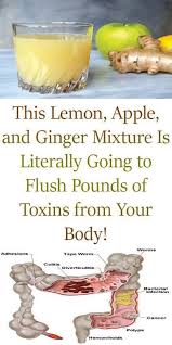 Pin On Super Healthy Foods For Weight Loss