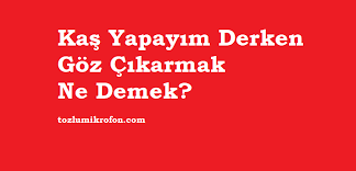Kas Yapayim Derken Goz Cikarmak Ne Demek Tozlu Mikrofon