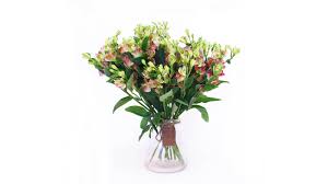 Maybe you would like to learn more about one of these? Floral