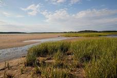 Making the Path to Salt Marsh Restoration Less Muddy