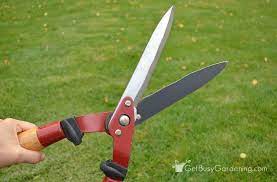 Pin On Garden Shears