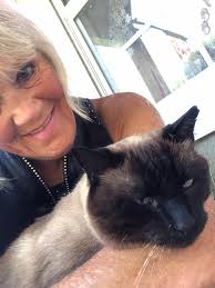 Introduction to Rama, a 6-month-old Siamese cat