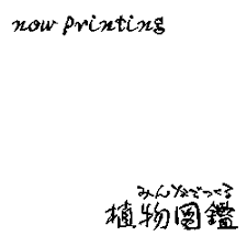 Image result for Neorautanenia ficifolia