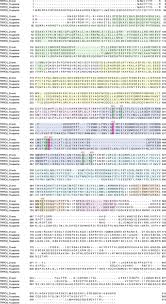 Sk tpid desa kedungsumber 2020 8. Structural Basis Of Trpc4 Regulation By Calmodulin And Pharmacological Agents Elife