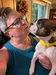 Does your Boston Terrier talk a lot?