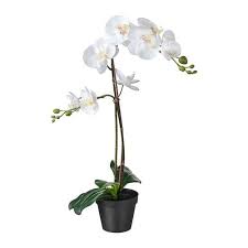 Fejka Orchid White Artificial Potted Plant Diameter Of Plant Pot 12 Cm Ikea Artificial Potted Plants Artificial Orchids Artificial Plants