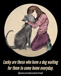 I pray you have a wonderful day. The Original Pet Stop Grooming Shop Home Facebook