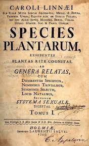 Genus Species Medicinal Herb Chart In 1753 Linnaeus