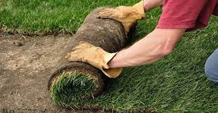 Southland sod farms can help! The 10 Best Sodding Services Near Me With Free Estimates