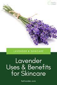 Lavender Benefits Uses Lavender Benefits Natural Skin Treatment Herbal Recipes