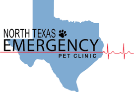 As pet owners ourselves, we understand that this is this hospital is wonderful. Home Veterinarian In Carrollton Tx North Texas Emergency Pet Clinic