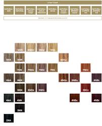 loreal colourist colourfusion colour chart in 2019 redken