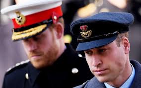 William bị Harry kể tội nhiều nhất trong hồi kí của mình