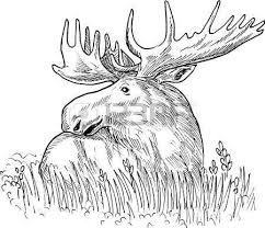 That's why we have disney coloring pages for adults. Pin On Wood