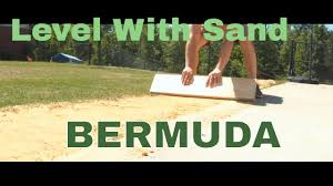 We did not find results for: Bermuda Lawn Rehab Sand Leveling Youtube