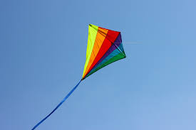 Image result for kites