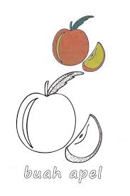 Demikian beberapa sketsa gambar buah mudah dan berwarna. Dapatkan Himpunan Contoh Gambar Buah Buahan Untuk Mewarna Yang Berguna Dan Boleh Di Perolehi Dengan Cepat Gambar Mewarna