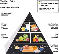 consumer information center the food guide pyramid