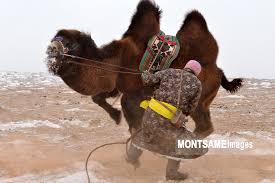 Allowed a merchant to deposit paper money under his name in one location & withdraw the same amount in another location. A Day In The Life Of A Camel Herder In The Snowstorm