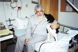Therapy Dogs International