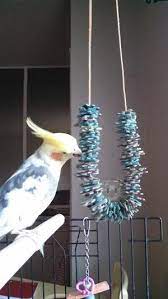 Easy Parrot S Toy From Recycled Puzzle Pieces Homemade Bird Toys Parakeet Toys Diy Bird Toys