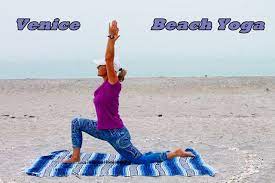 Venice florida facts you should know venice, florida, is a city on the water on florida's gulf shore. Beach Yoga On Our Venice Beaches You Will Love It