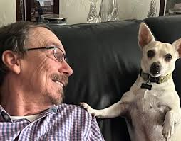 Go, Dog. Go!": The Best Book Is the One that Teaches You to Love Reading