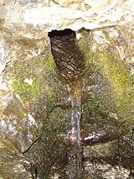 Mata Air Wikipedia Bahasa Melayu Ensiklopedia Bebas