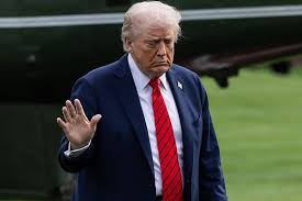 Doctor Vin Gupta Calls BS on President Donald Trump's Bizarre Claim About His  Secret MRI