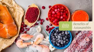 Image result for Astaxanthin