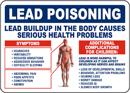 Image result for Lead Poisoning