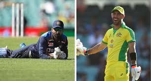 Official instagram of australian, kings xi, victorian bushrangers and melbourne stars cricketer. Maxwell Reveals Apology To Rahul After Hilarious Twitter Meme Goes Viral