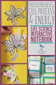 Photosynthesis Cell Processes Energy Science Interactive Notebook Life Science Interactive Notebooks Photosynthesis