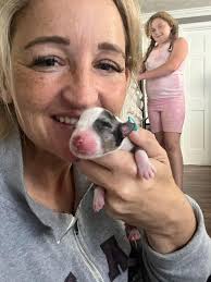 Pet owner shares story of dog's death in hot car